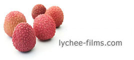 Lychee Films Online